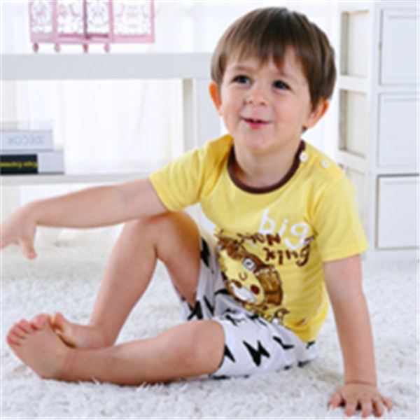 Baby Boy & Girl Summer Casual Clothing Sets