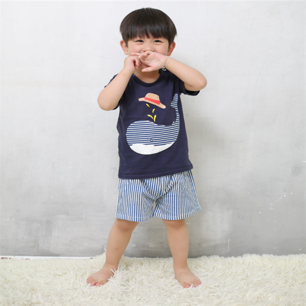 Baby Boy & Girl Summer Casual Clothing Sets